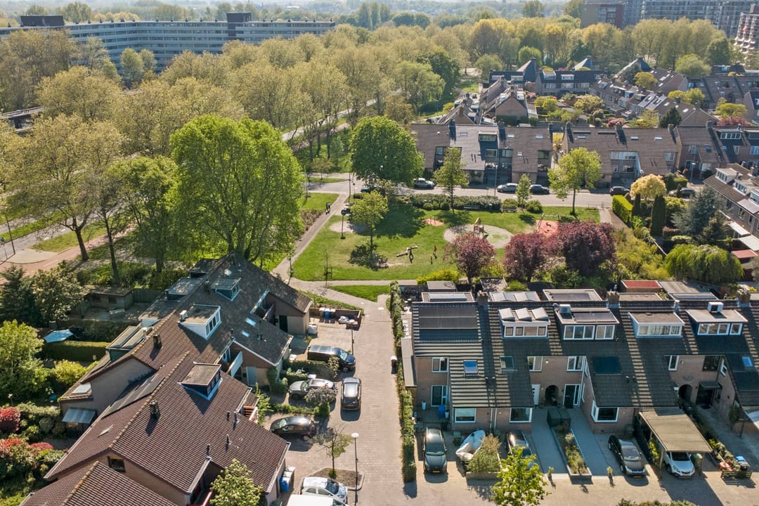 Foto 43 van Hopklaver 31
