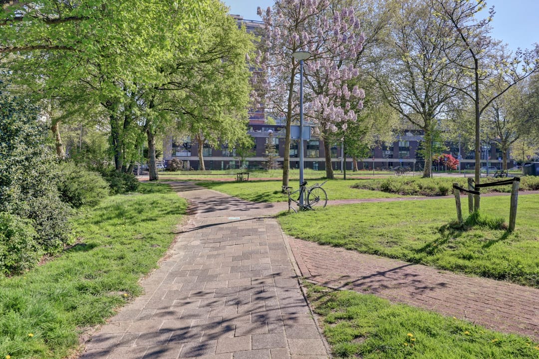 Foto 41 van Hopklaver 31