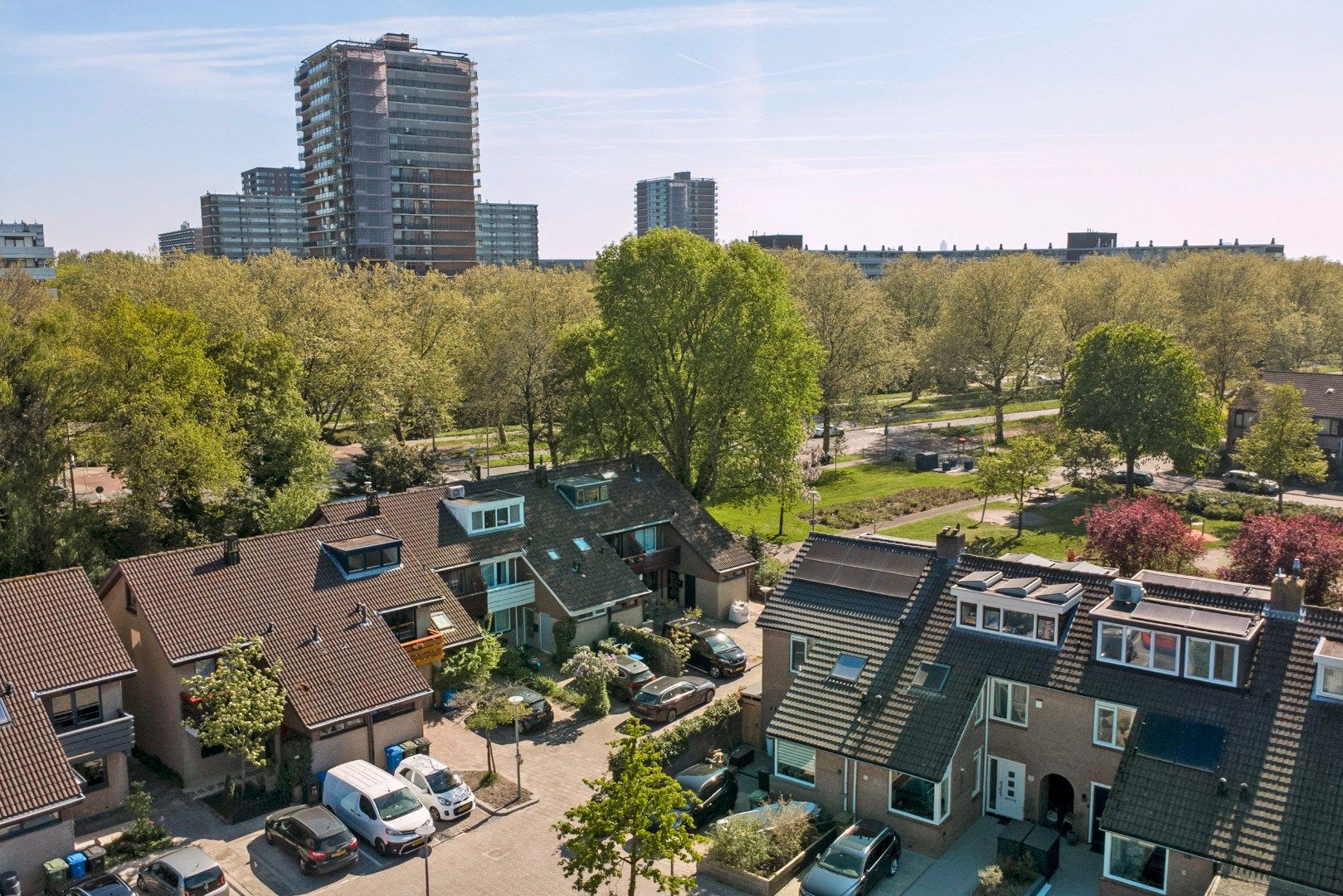 Foto 42 van Hopklaver 31