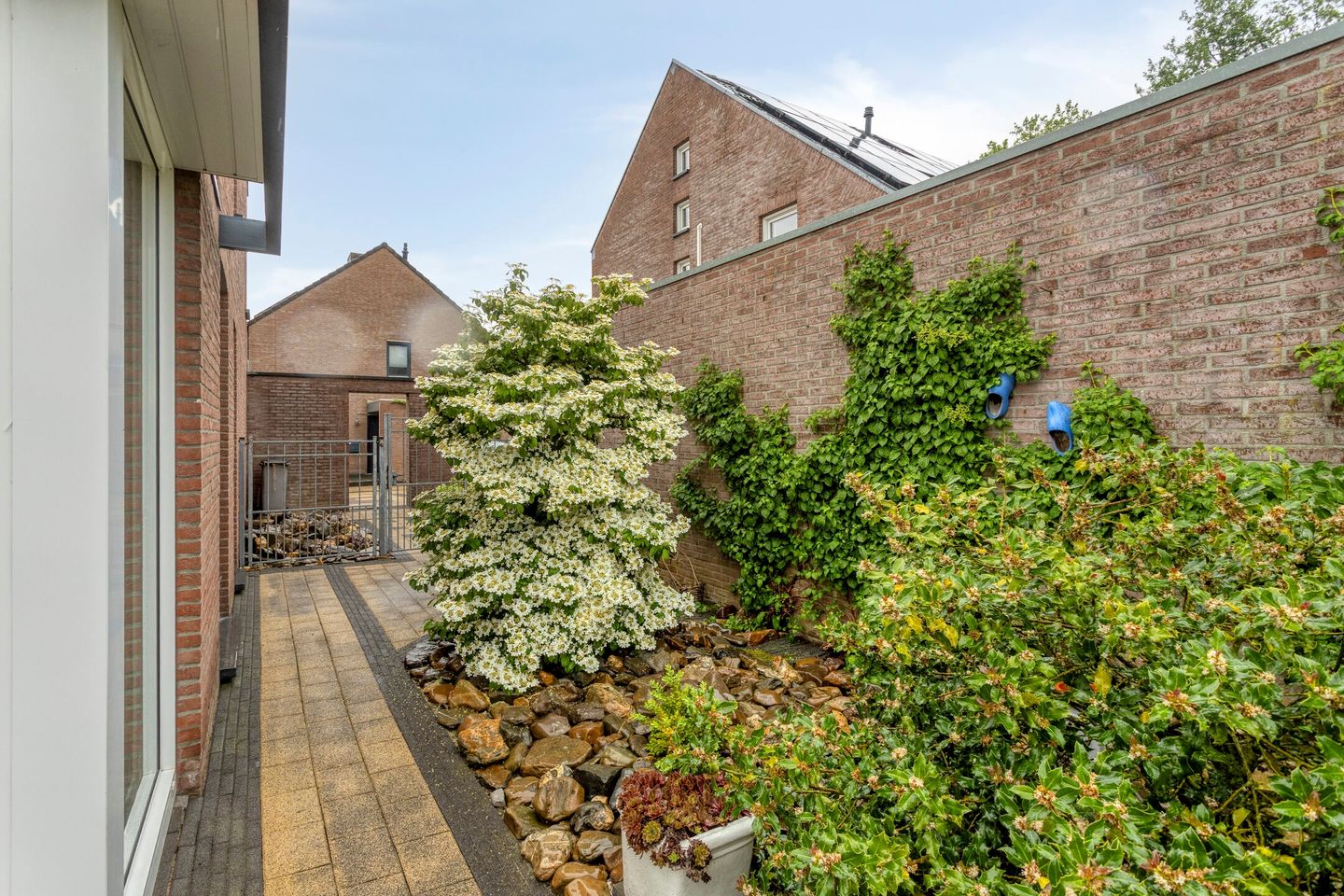 Photo 50 of Pastoor Starmansstraat 14