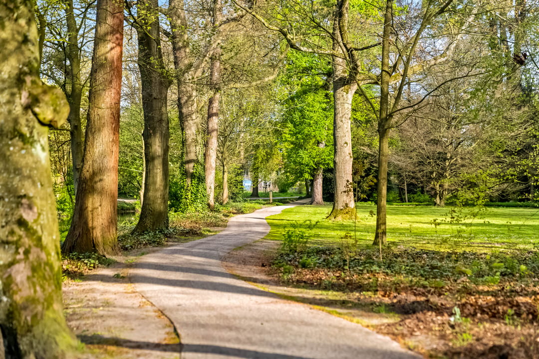 Foto 43 van Anton Mauvestraat 19