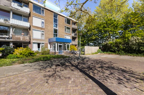 Reitdiepstraat thumbnail