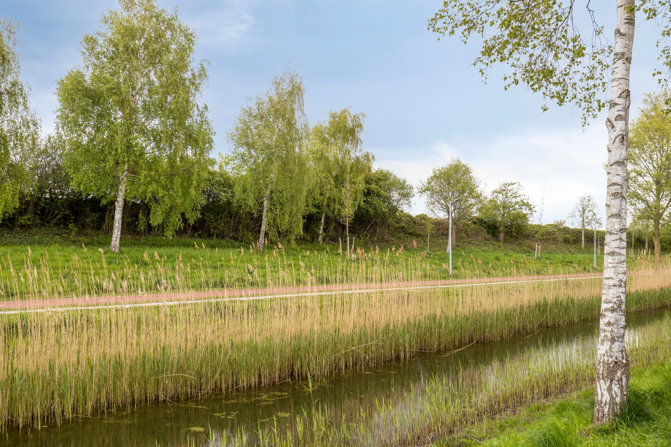 Photo 42 of Roosduinen 49