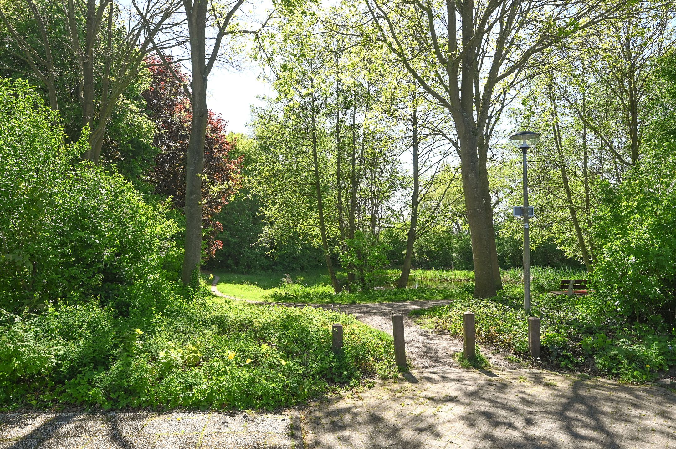Photo 24 of Brugakker 1073