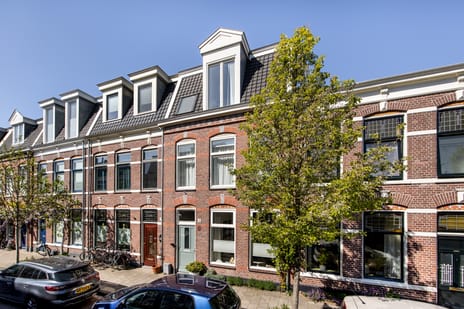 Tetterodestraat thumbnail
