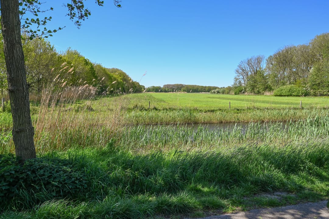 Photo 22 of Brugakker 1073