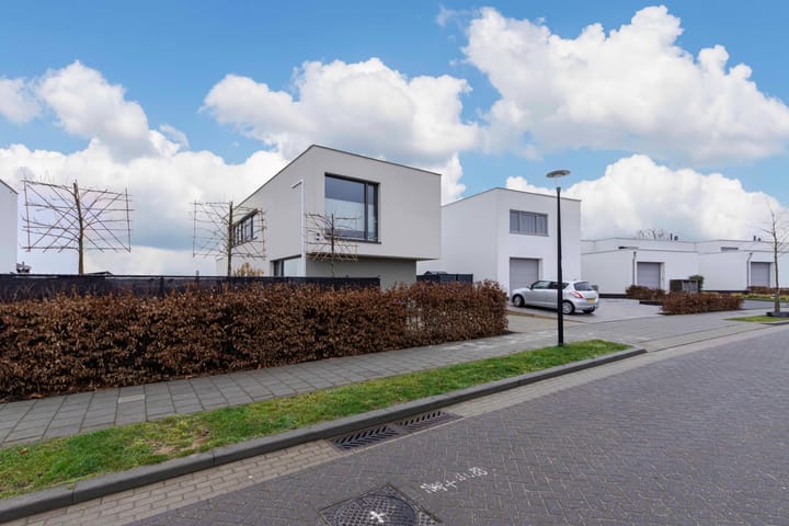 Foto 5 van Gentiaan 11