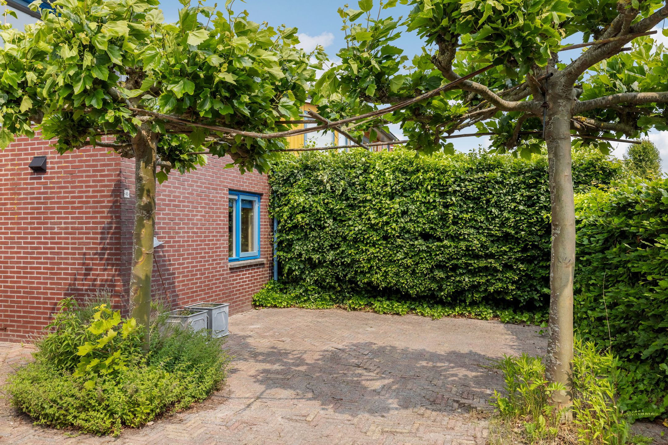 Photo 6 of Gouden Boaijum 45