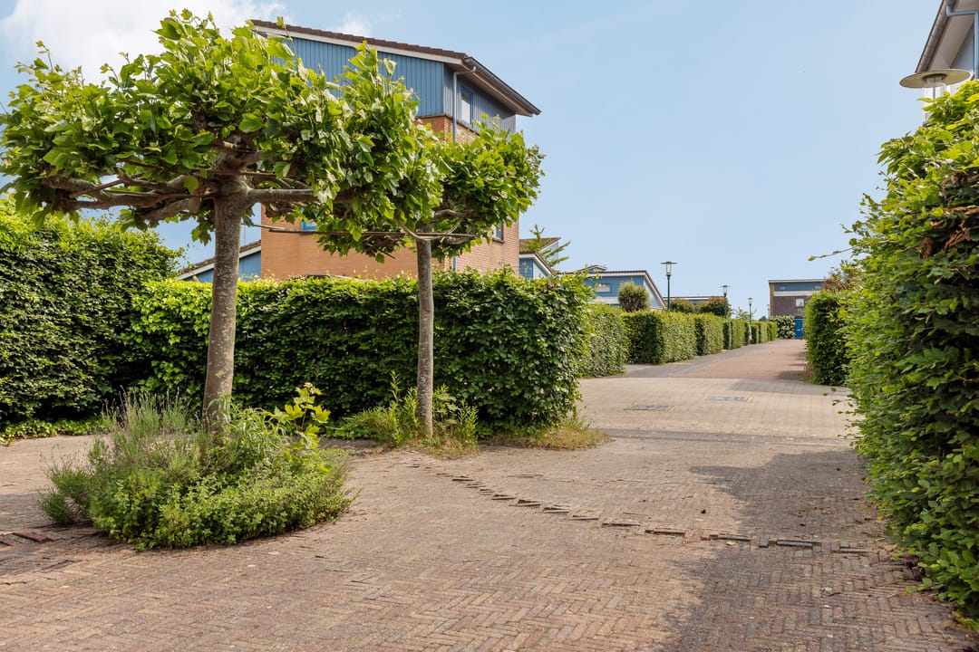 Photo 7 of Gouden Boaijum 45