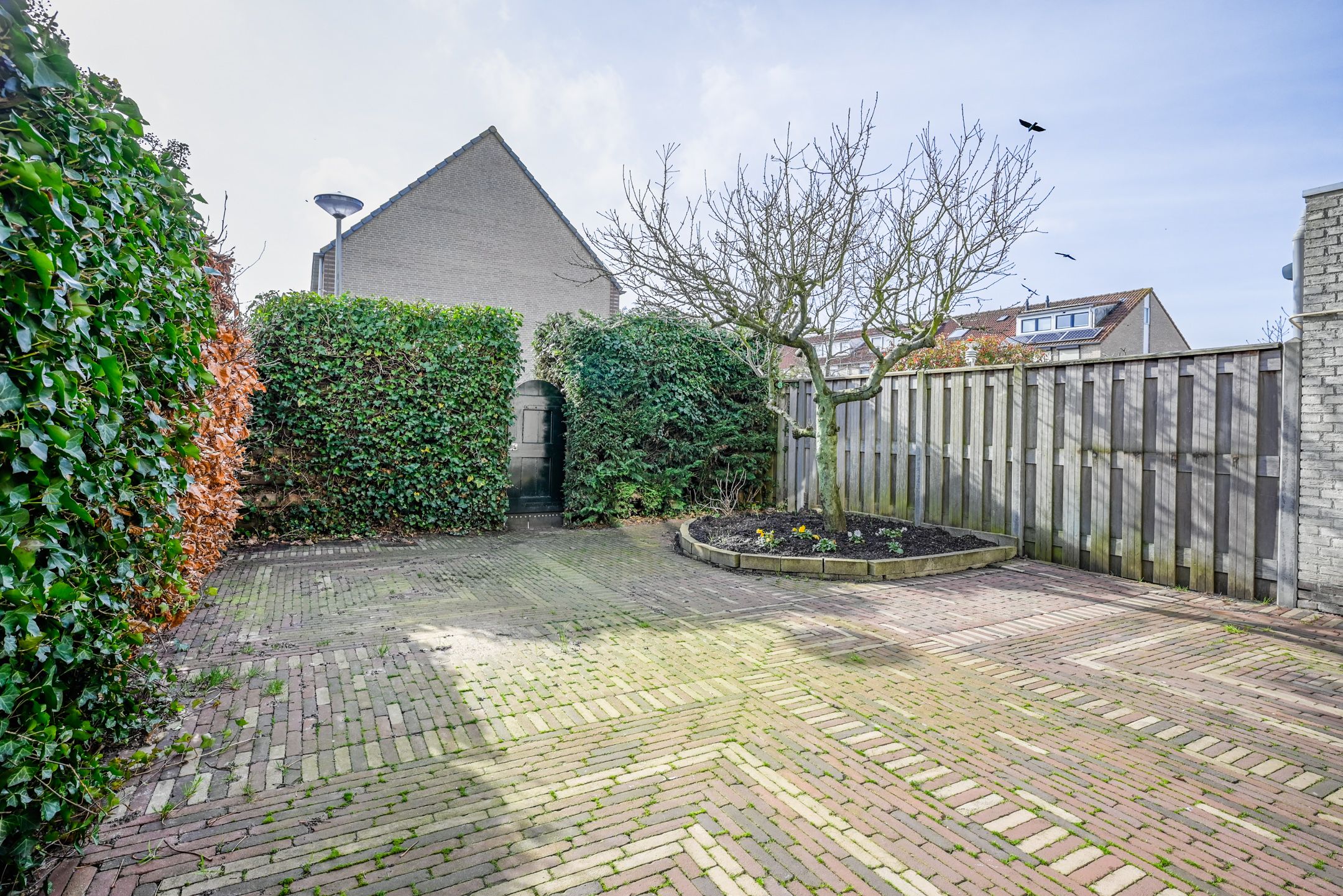 Photo 39 of Krammer 70