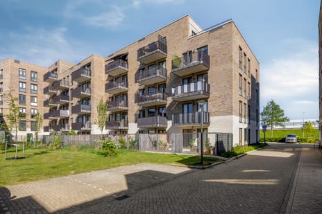 Burgemeester Augustijnstraat thumbnail