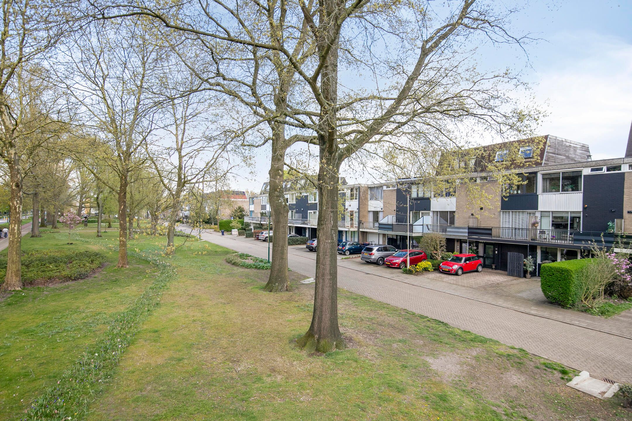 Foto 48 van Speenkruidstraat 49