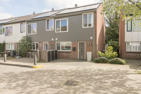 Jan Steenstraat thumbnail