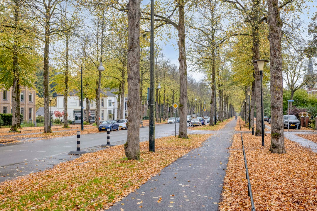 Foto 22 van Loolaan 41-97