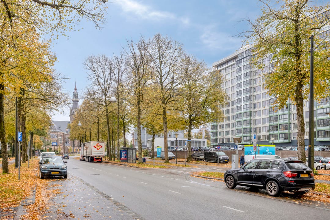 Foto 23 van Loolaan 41-97