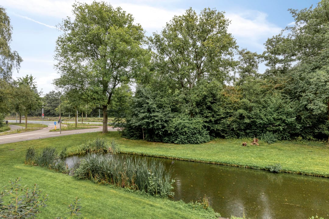 Foto 17 van Hoeksewaard 43