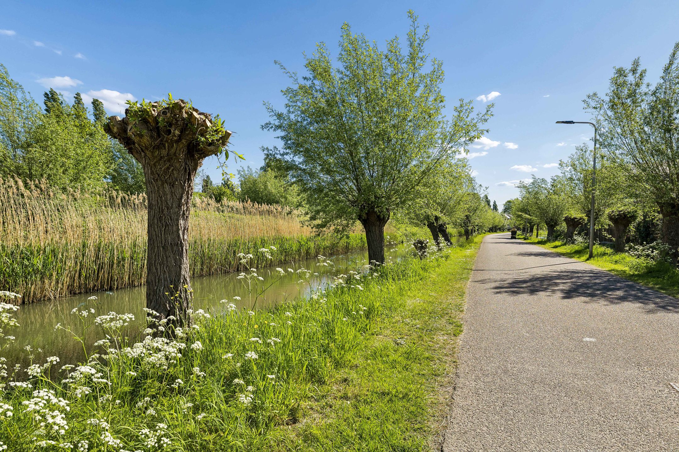 Photo 45 of Woudsenderraklaan 260