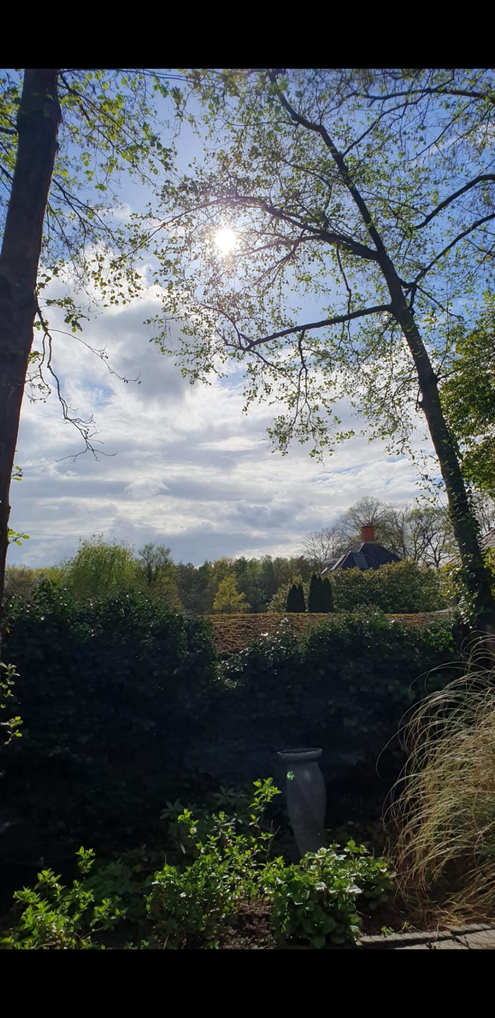 Photo 42 of Hanenberglanden 158