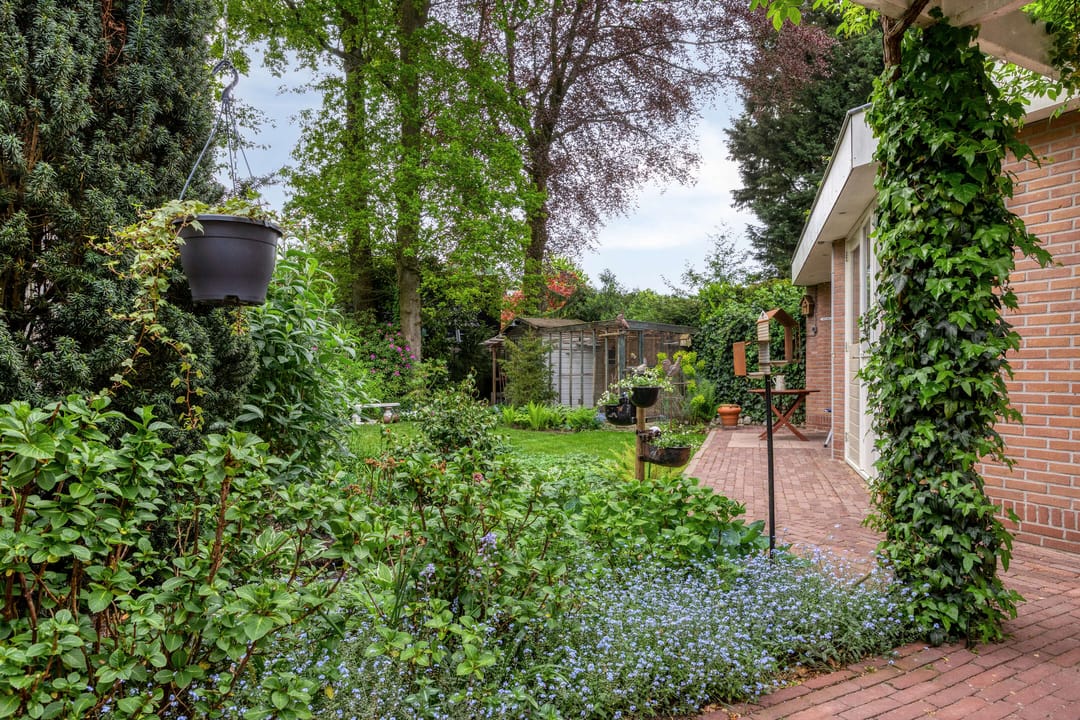 Photo 23 of Van Hogendorpstraat 25