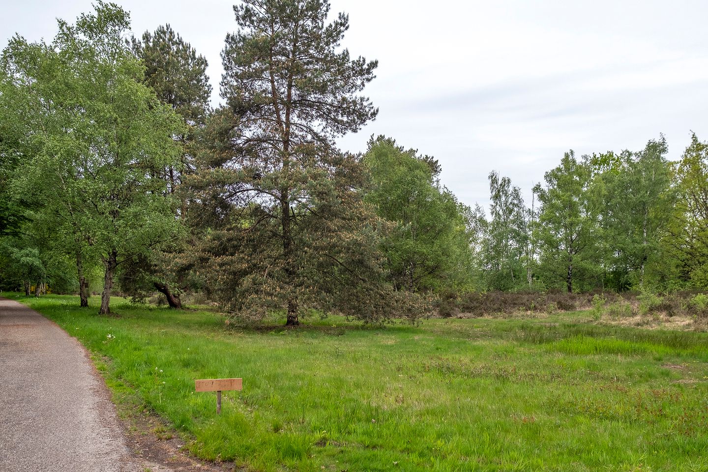 Photo 44 of Hendrik Reindersweg 28-116