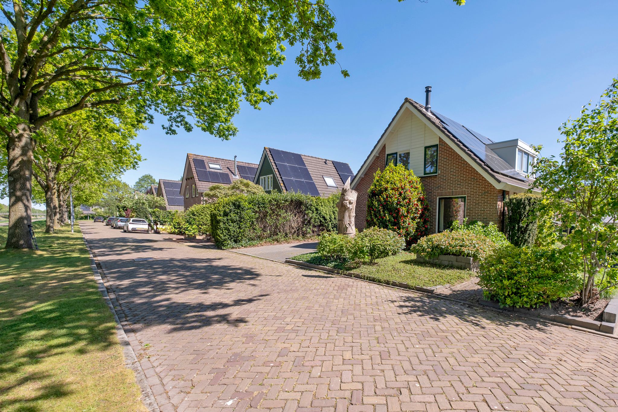 Photo 3 of Buitenbree 8