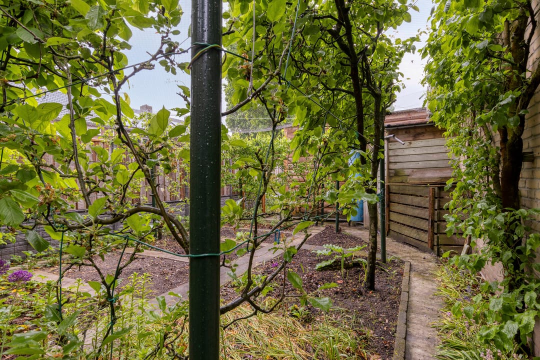 Foto 43 van Hertog Hendriklaan 7