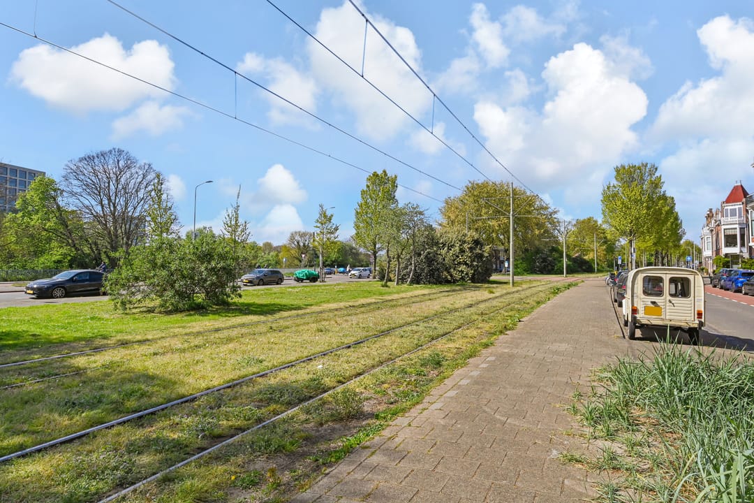 Photo 28 of Van Loostraat 146