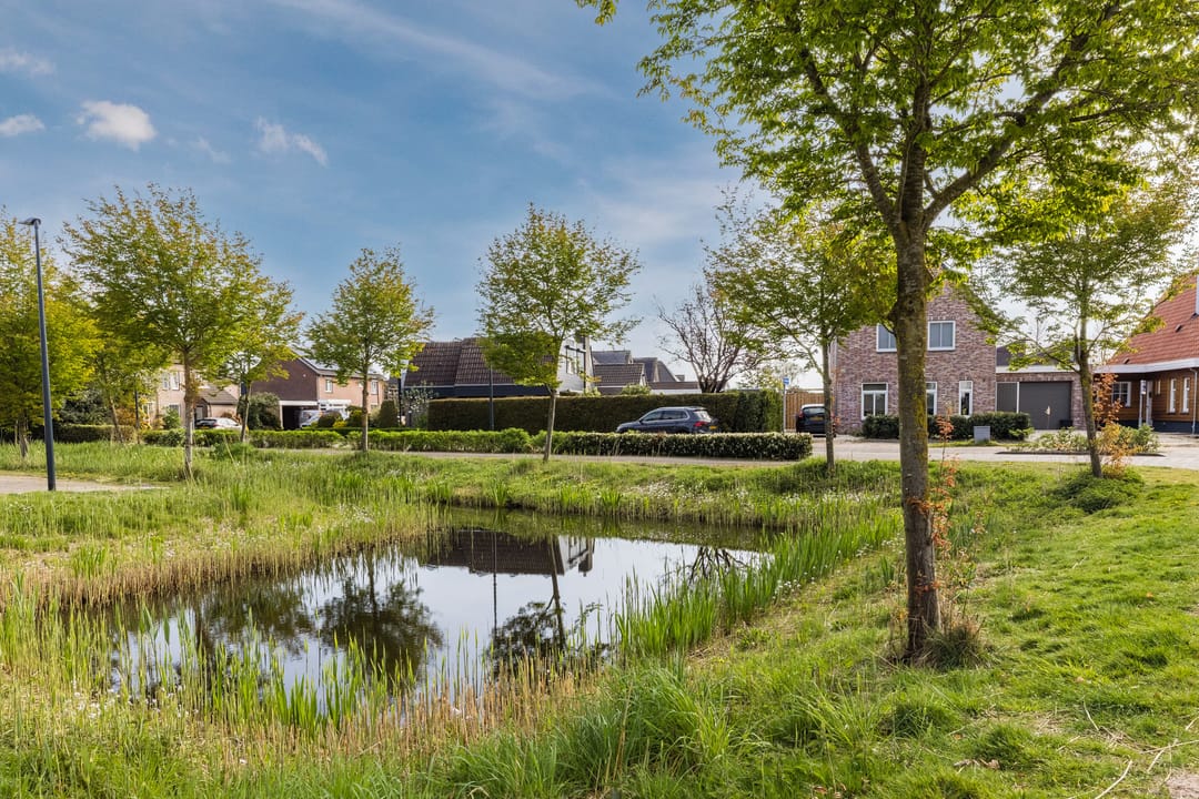 Photo 47 of Koperwiek 37