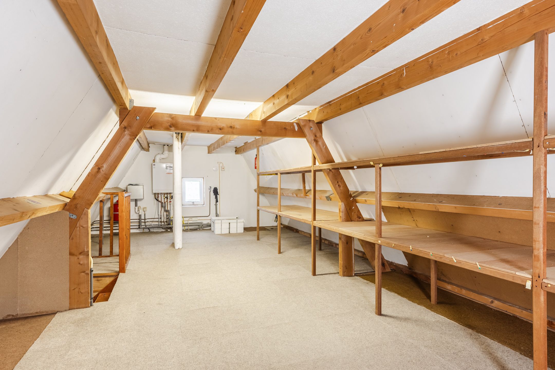 Photo 36 of Koperwiek 37