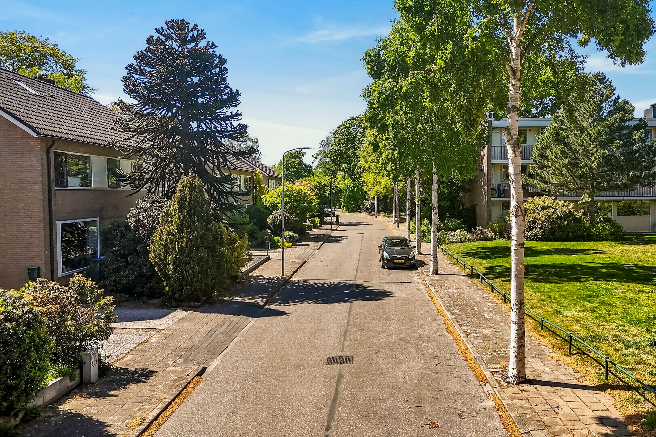 Photo 39 of Wandscheerstraat 19