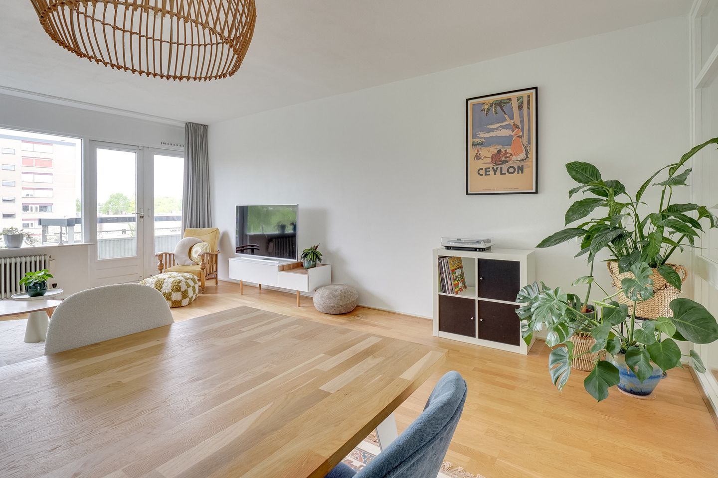Foto 4 van Fruinplantsoen 34