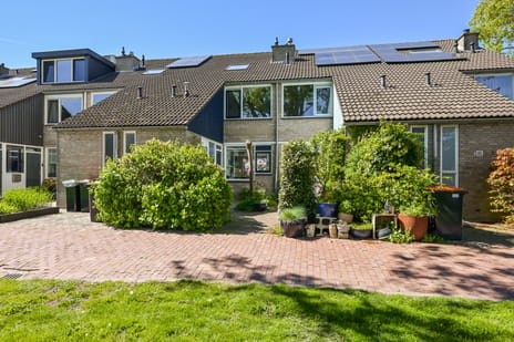 De Boomkamp thumbnail