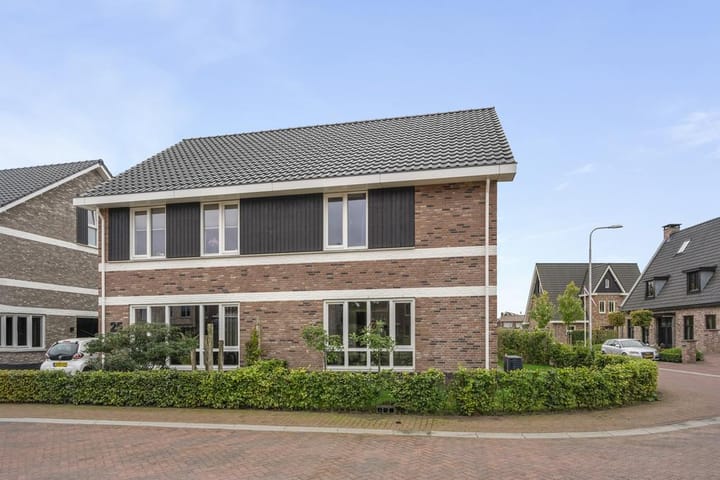 Foto 4 van Willemshoek 6