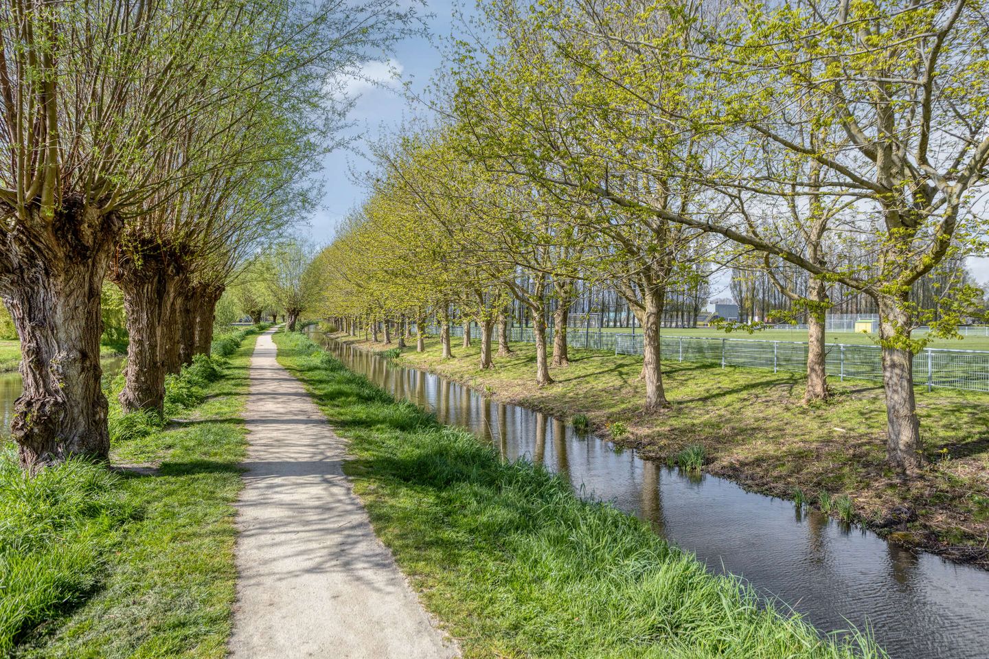 Photo 29 of Groene Steen 21