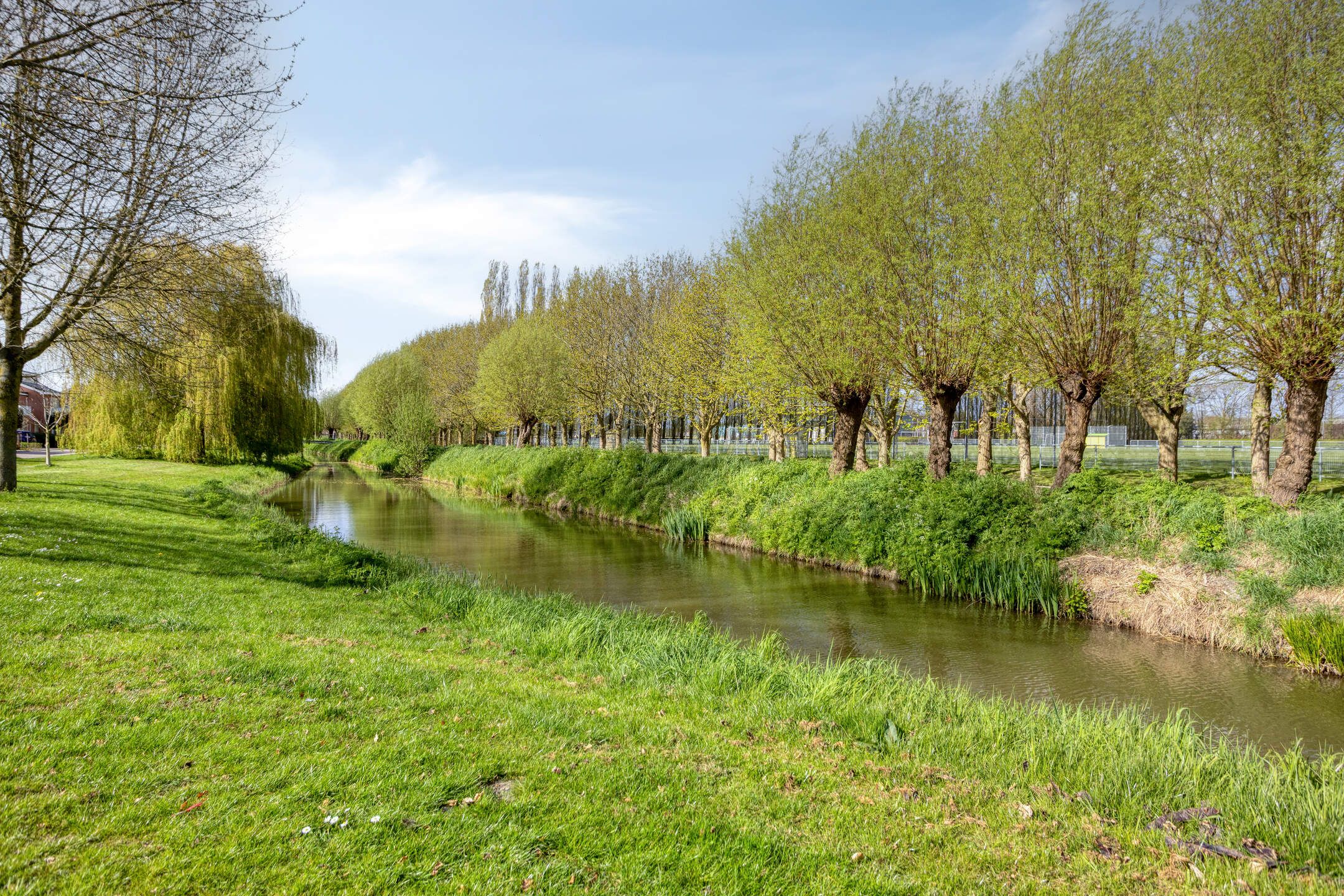 Photo 27 of Groene Steen 21