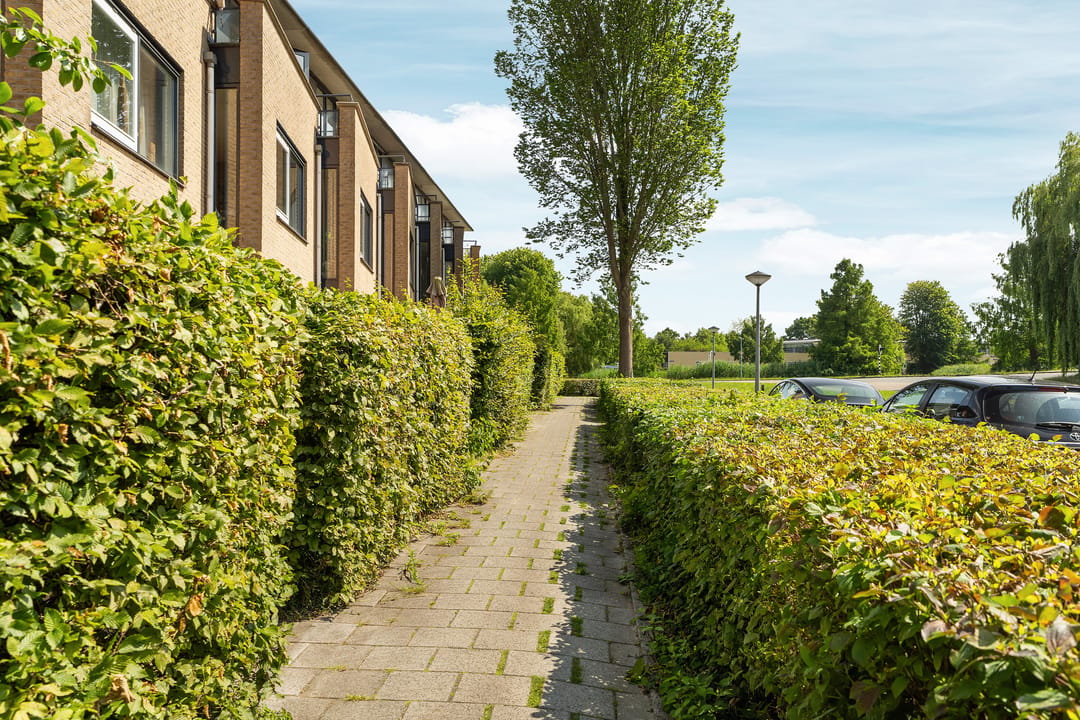 Photo 37 of Iepenstraat 10
