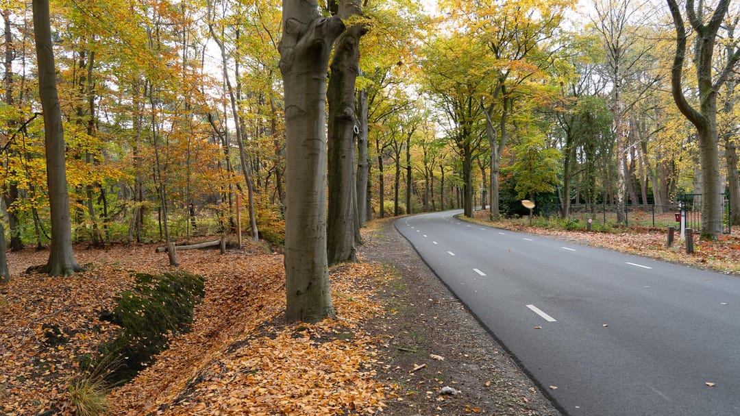 Photo 17 of Moerdijkse Postbaan 8