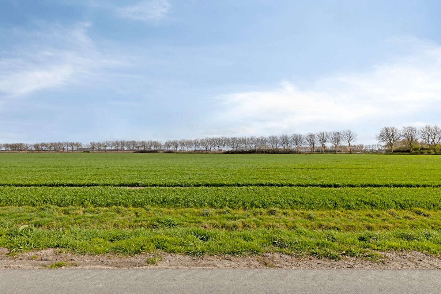 Photo 59 of Hollestelleweg 12