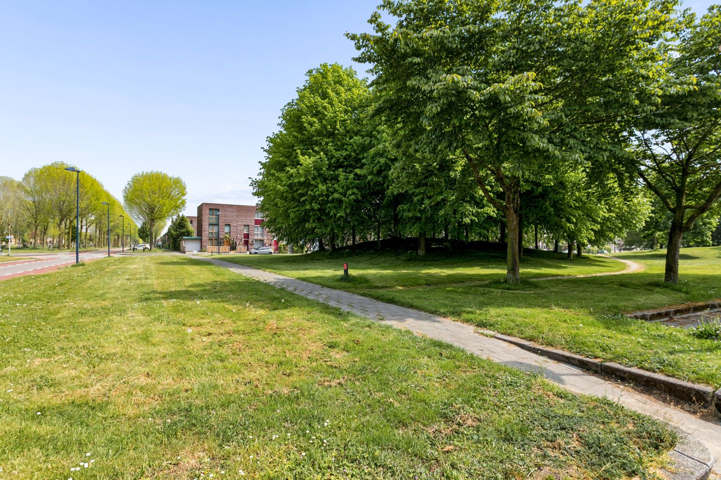 Foto 40 van Rijnland 209
