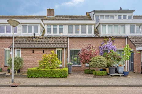 Akkerwinde thumbnail
