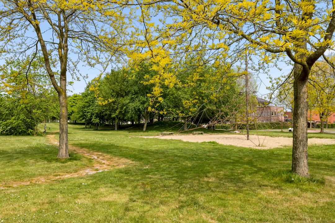 Foto 41 van Rijnland 209