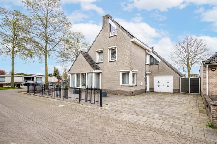 Foto 5 van Zaaiviool 24