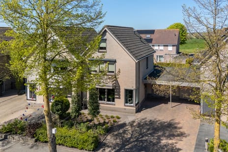 Zilverschoon thumbnail