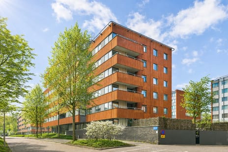 Kamerlingh Onnesstraat thumbnail