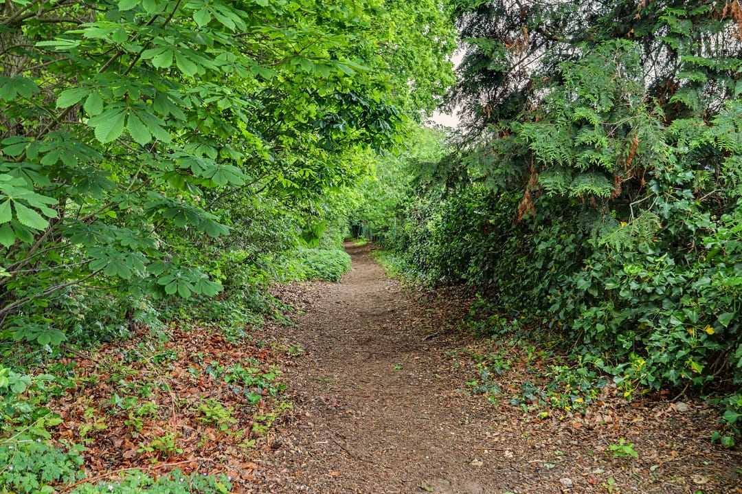 Photo 43 of Landjuweel 3
