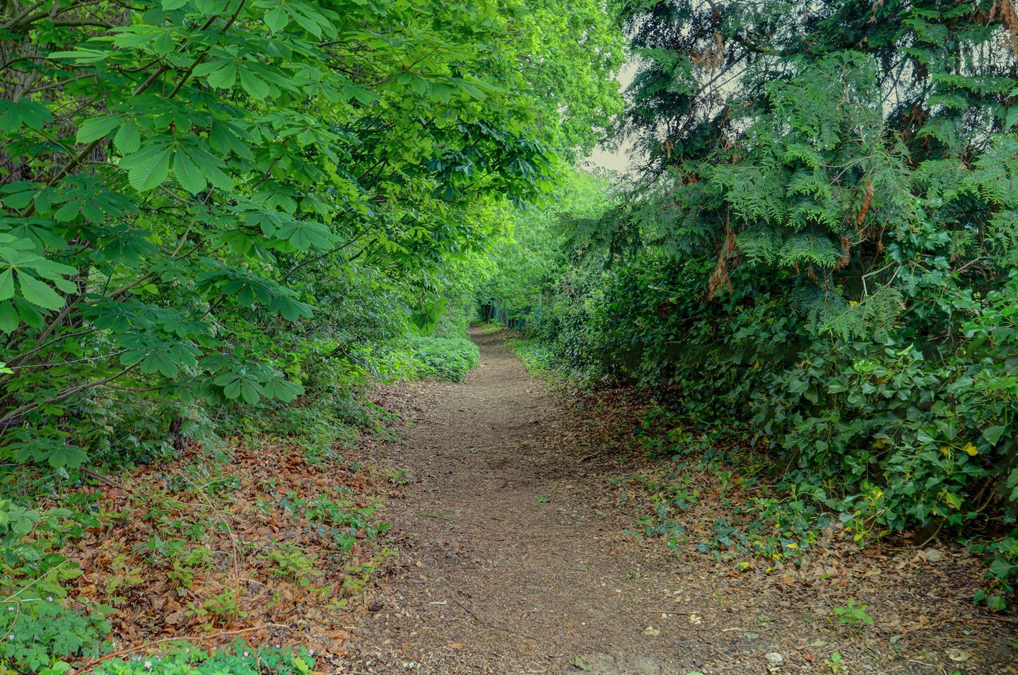 Photo 44 of Landjuweel 5