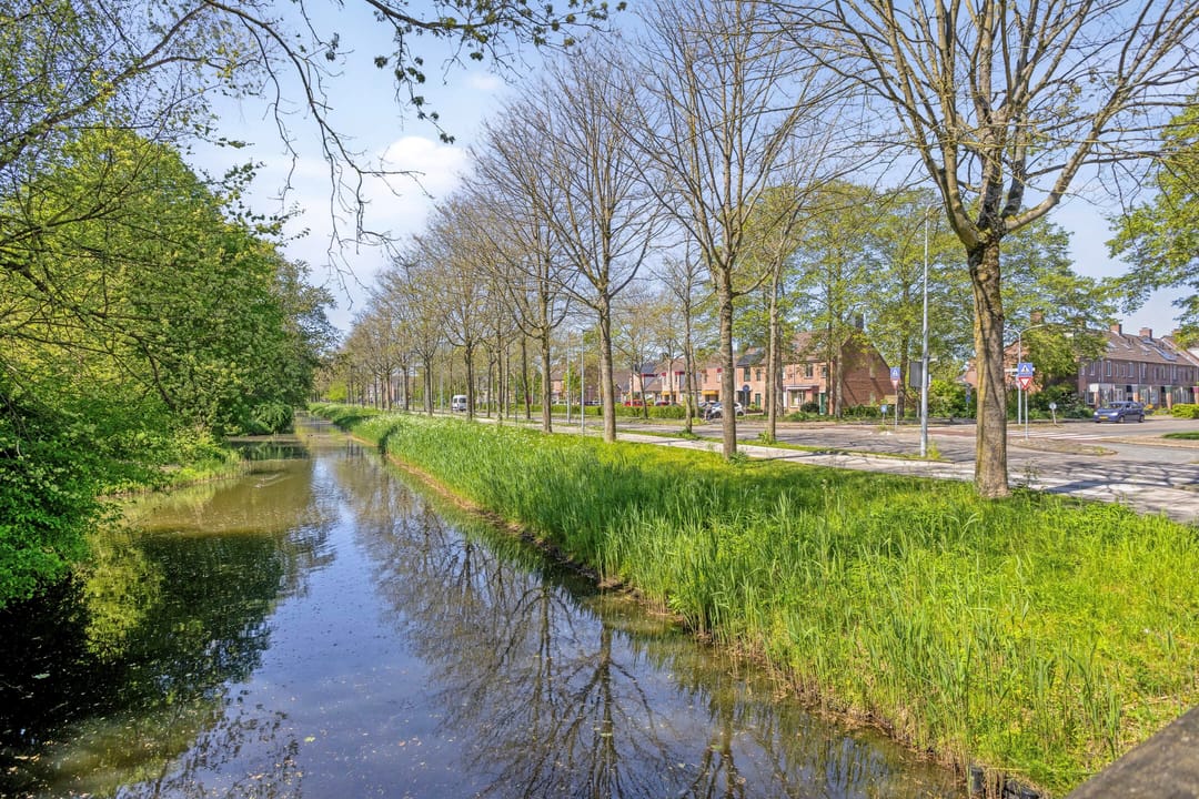 Foto 46 van Paardebloem 7