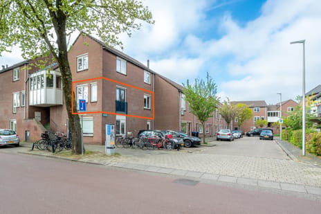 Lamstraat thumbnail