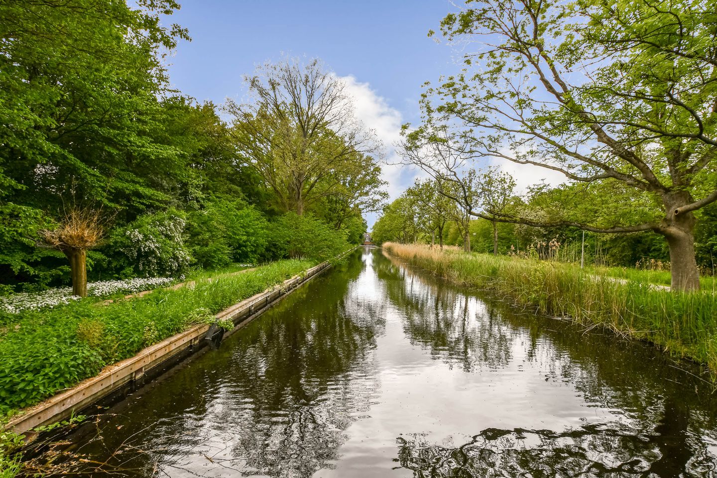 Foto 25 van Eikenrodelaan 89