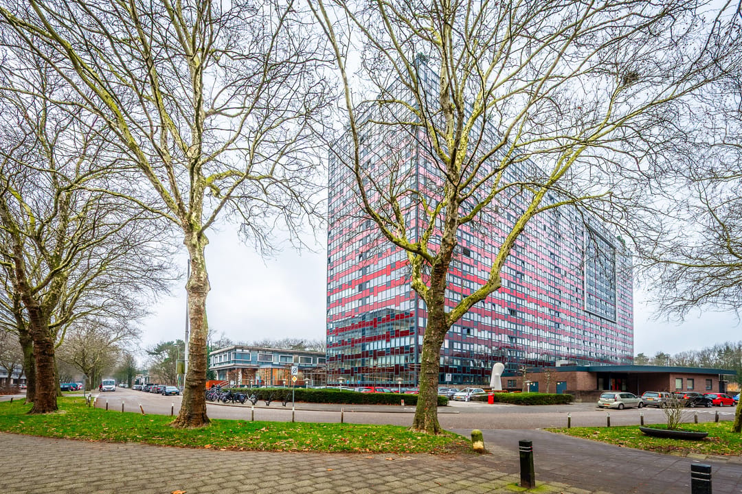Photo 1 of Laan van Vollenhove 528